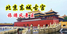 大鸡八日大逼片中国北京-东城古宫旅游风景区